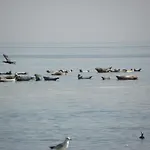 Vaestriku Σπίτι διακοπών *