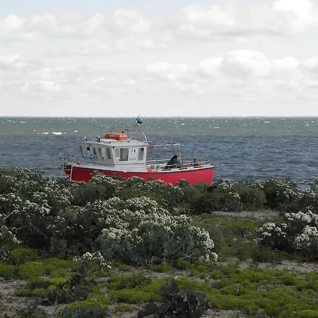 Vaestriku Nasva (Saare)