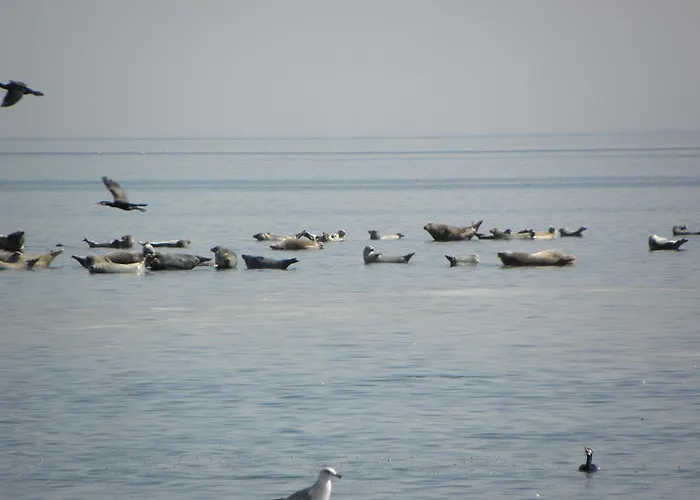 Vaestriku Сasa de vacaciones *