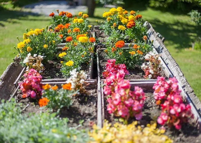 Сasa de vacaciones Vaestriku *